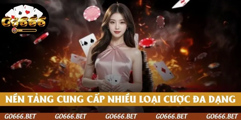 Nền tảng cung cấp nhiều loại cược đa dạng, từ cơ bản đến nâng cao