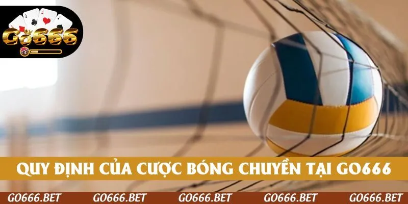 Quy định của cược bóng chuyền tại GO666