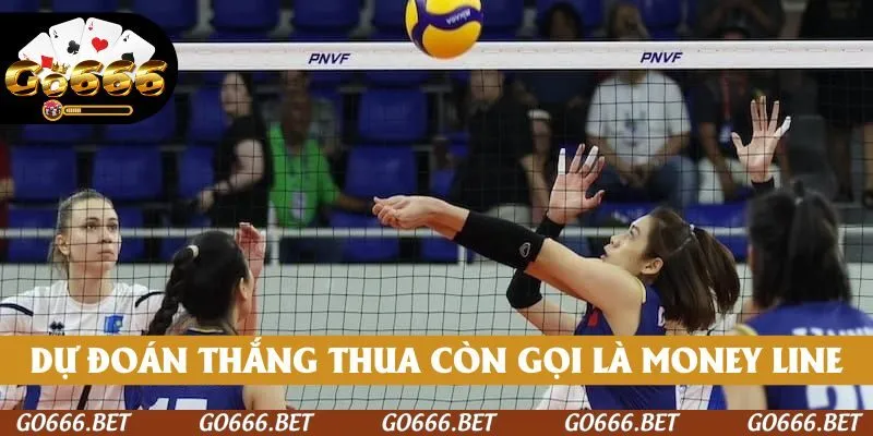 Dự đoán thắng thua còn gọi là Money line