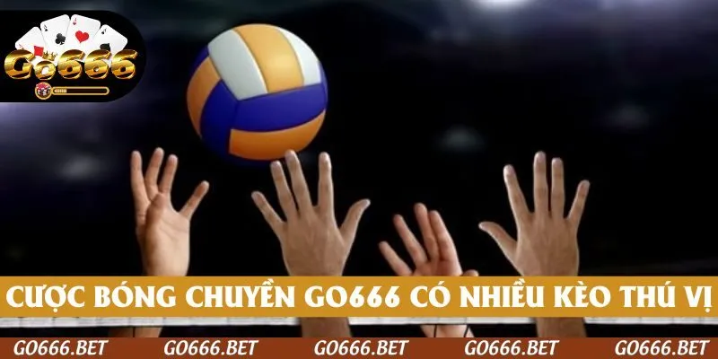 Cược bóng chuyền GO666 có nhiều kèo thú vị
