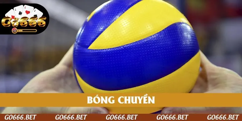 bong-chuyen-go666