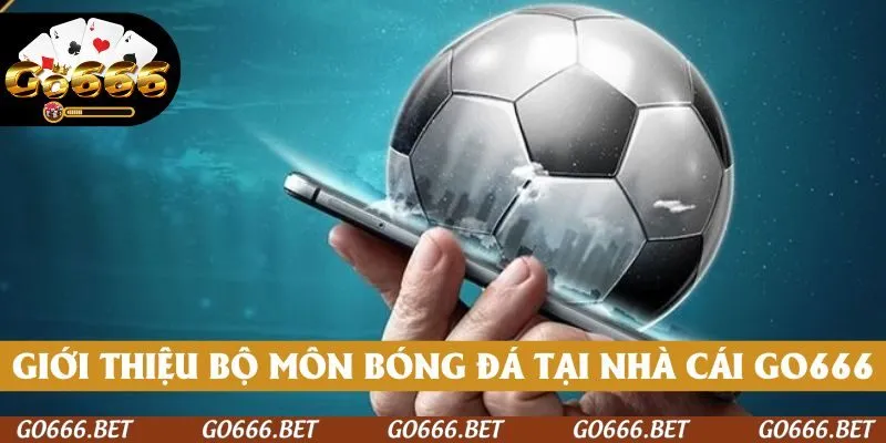 Giới thiệu bộ môn bóng đá tại nhà cái GO666