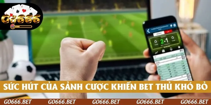 Sức hút của sảnh cược khiến thành viên khó bỏ qua