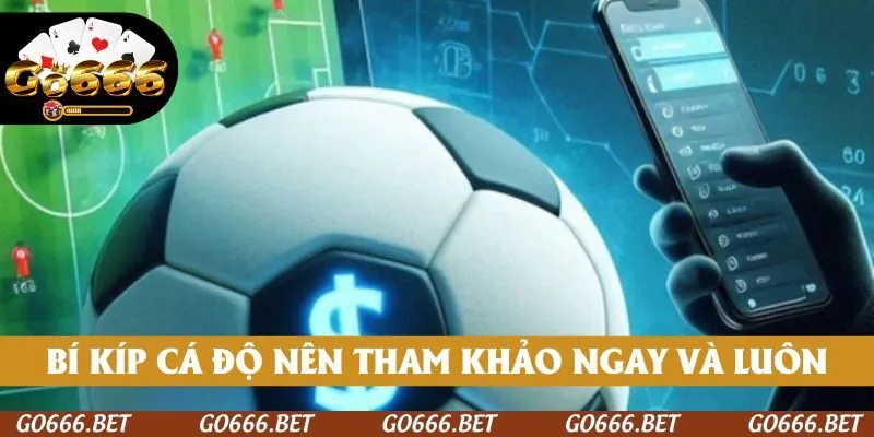 Bí kíp cá độ nên tham khảo ngay và luôn