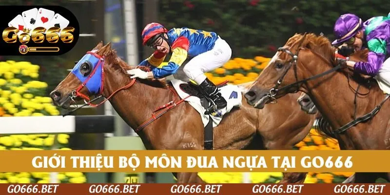 Giới thiệu bộ môn đua ngựa tại nền tảng GO666