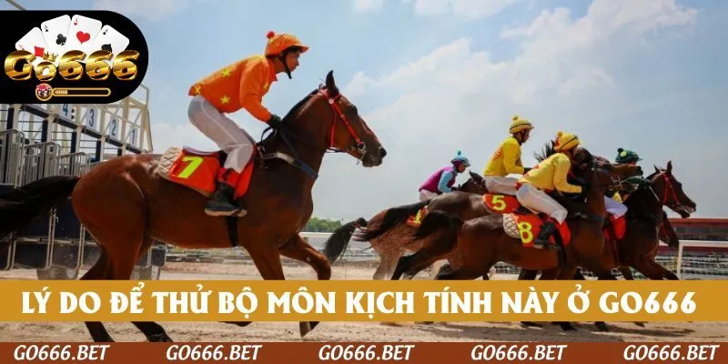 Lý do để bạn thử bộ môn kịch tính này tại GO666