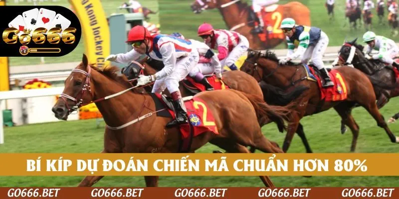 Bí kíp dự đoán chiến mã chuẩn hơn 80%
