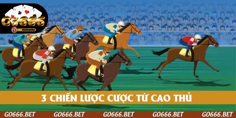 3 chiến lược cược từ cao thủ