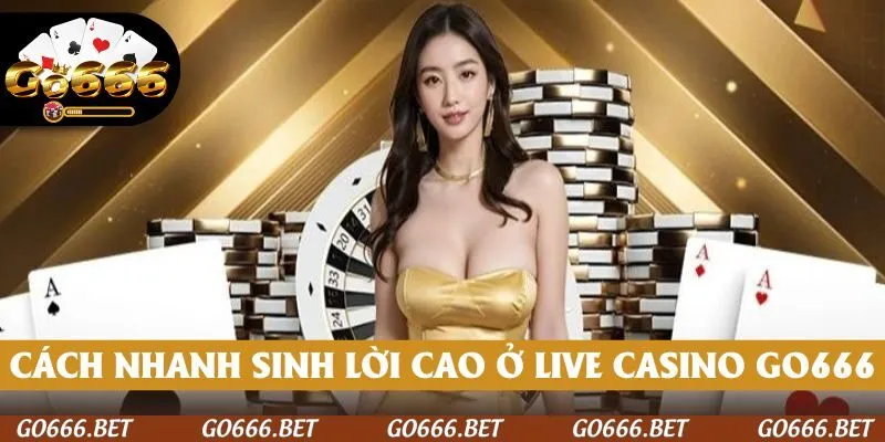 Bí mật để nhanh sinh lời cao tại live casino GO666