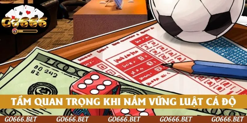 Tầm quan trọng khi nắm vững luật cá độ trước khi chơi