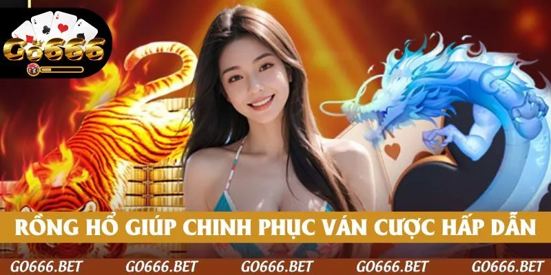 Rồng Hổ giúp thành viên chinh phục những ván cược hấp dẫn