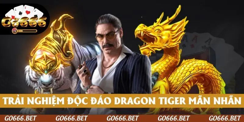 Trải nghiệm sống động với từng ván Dragon Tiger mãn nhãn