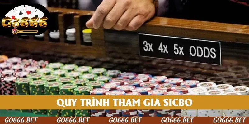 Quy trình tham gia Sicbo GO666