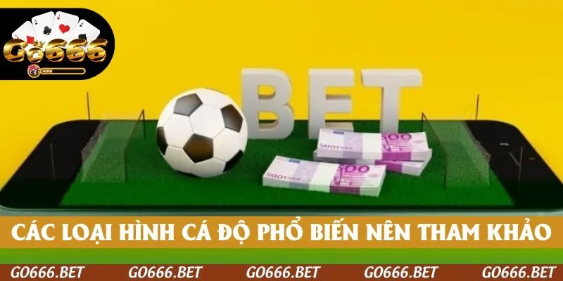 Các loại hình cá độ phổ biến nên tham khảo